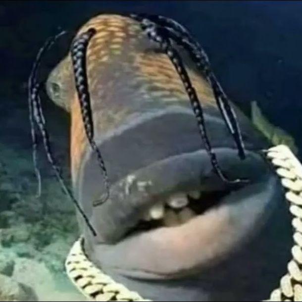 Odynokii avatar