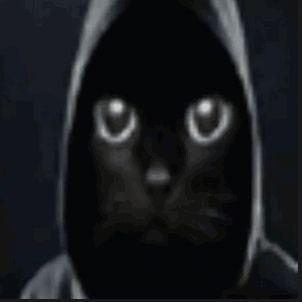 otm0r03ok avatar