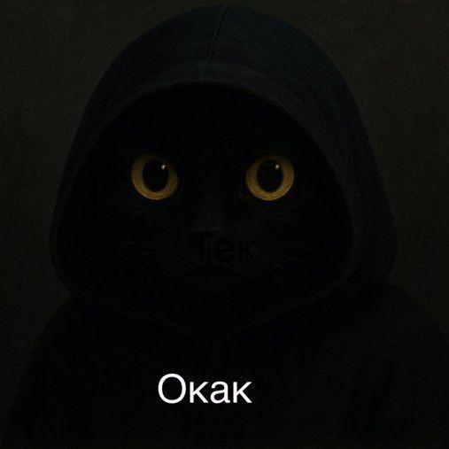BoT_TaK_BoT1 avatar