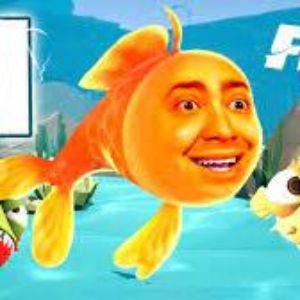 Player Fishzada avatar