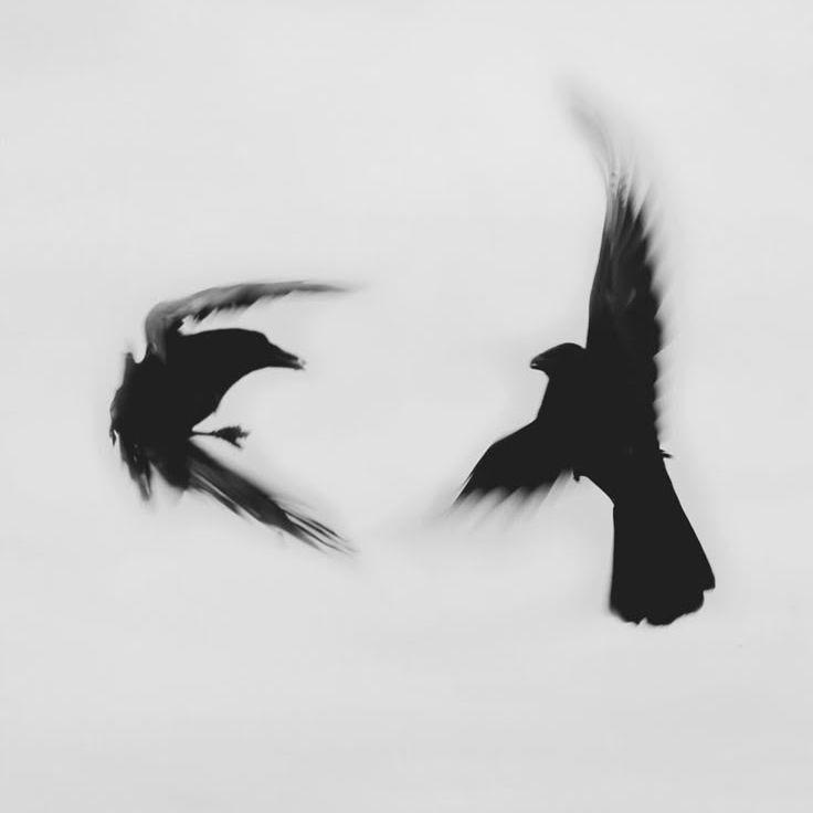 -badvibes avatar