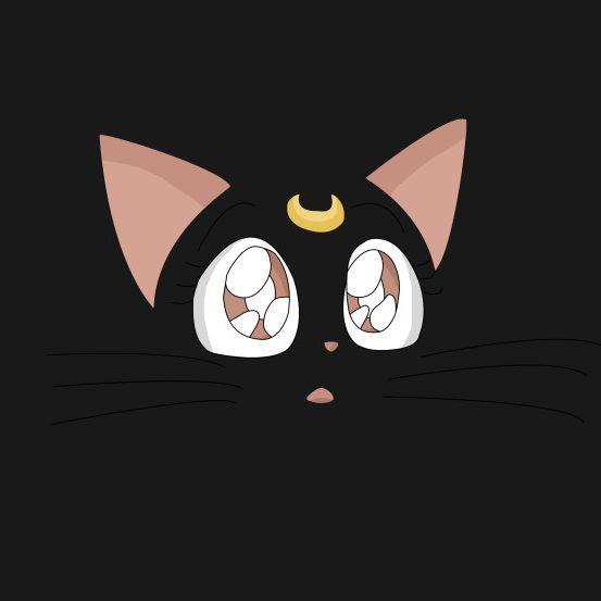 aPaprika avatar