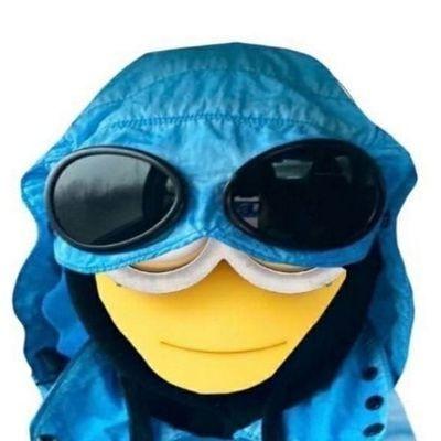 Rogebot avatar