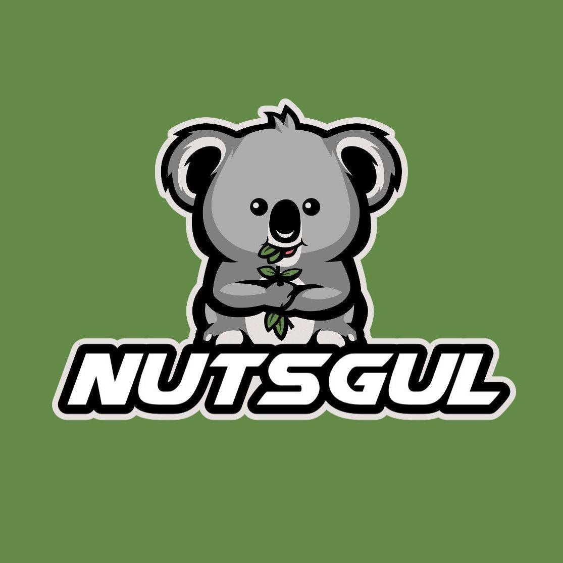 NutsGul avatar