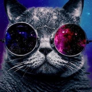 N0objkeee avatar