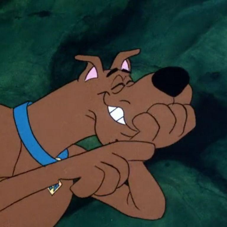 ScooobyDoo14