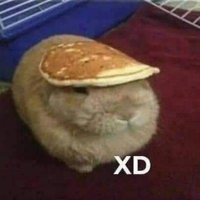 bread-man43 avatar
