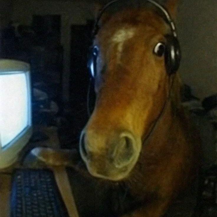 bornoflip avatar