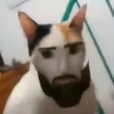 Faceit avatar
