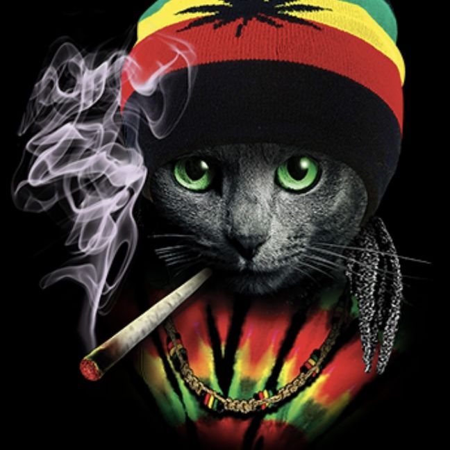 HAMBOOGA avatar