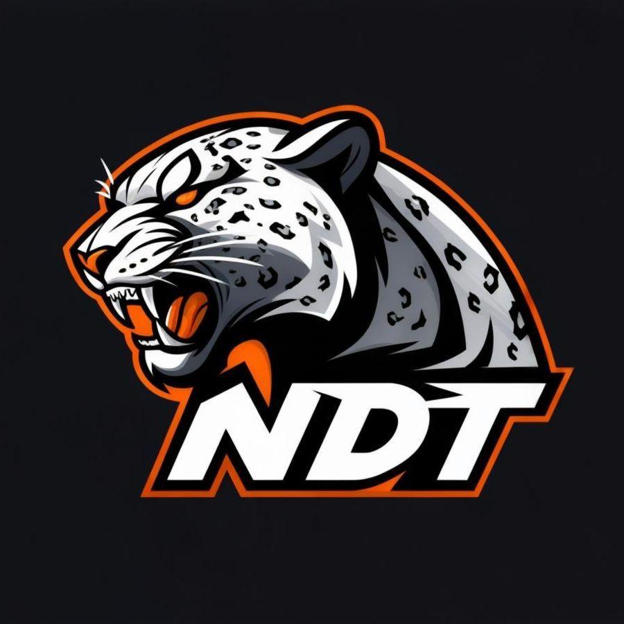 1nfikk avatar