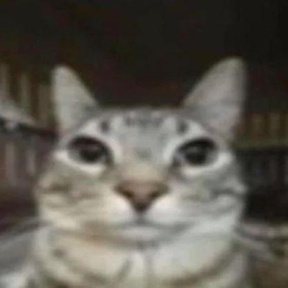 googleswe avatar