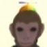 skrtZz avatar