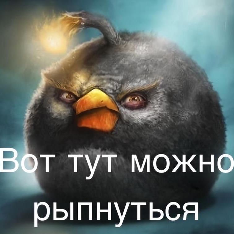 baguvix06 avatar