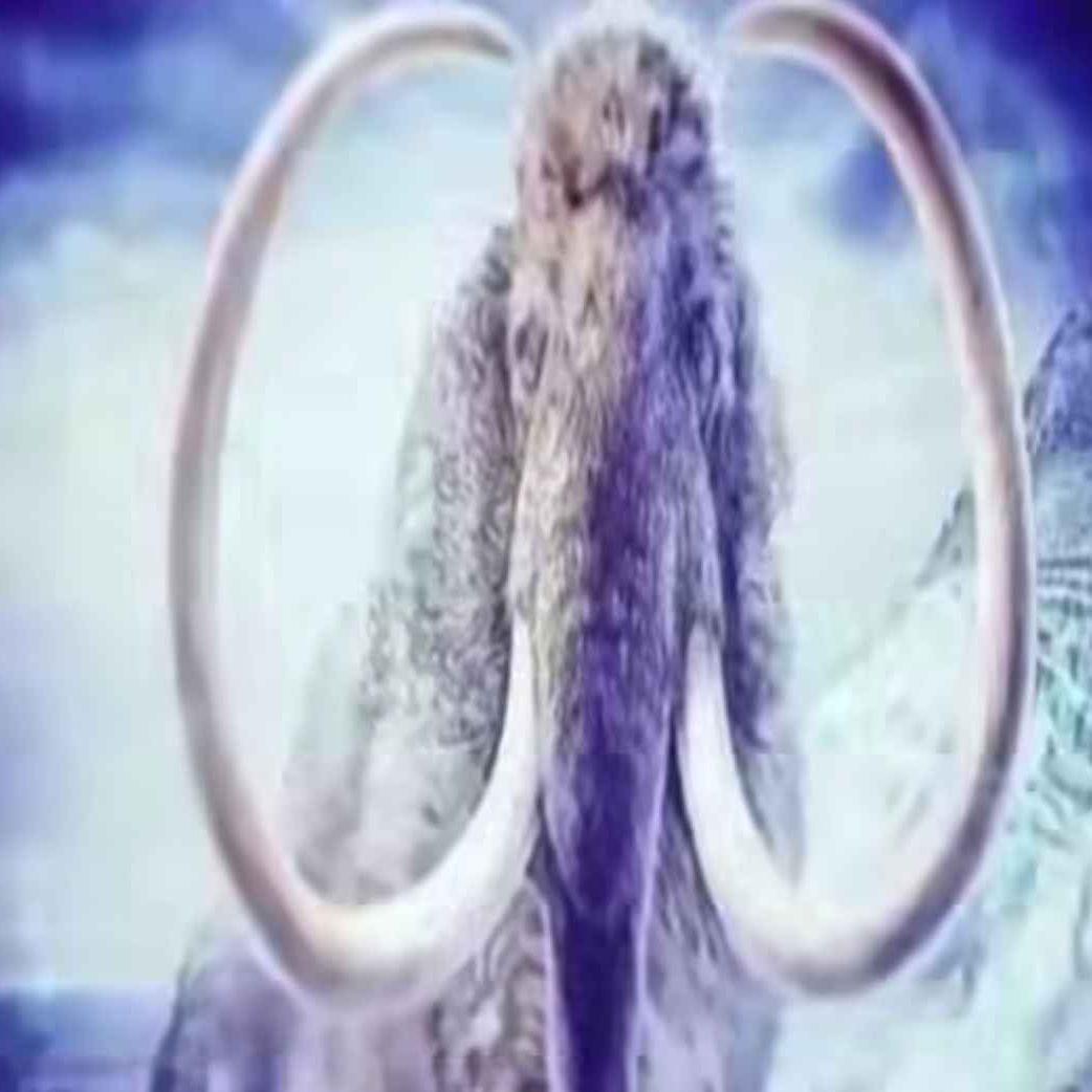 1ahimus avatar