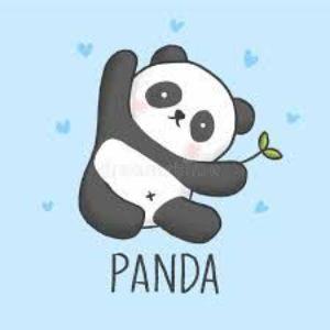 3-pAndA