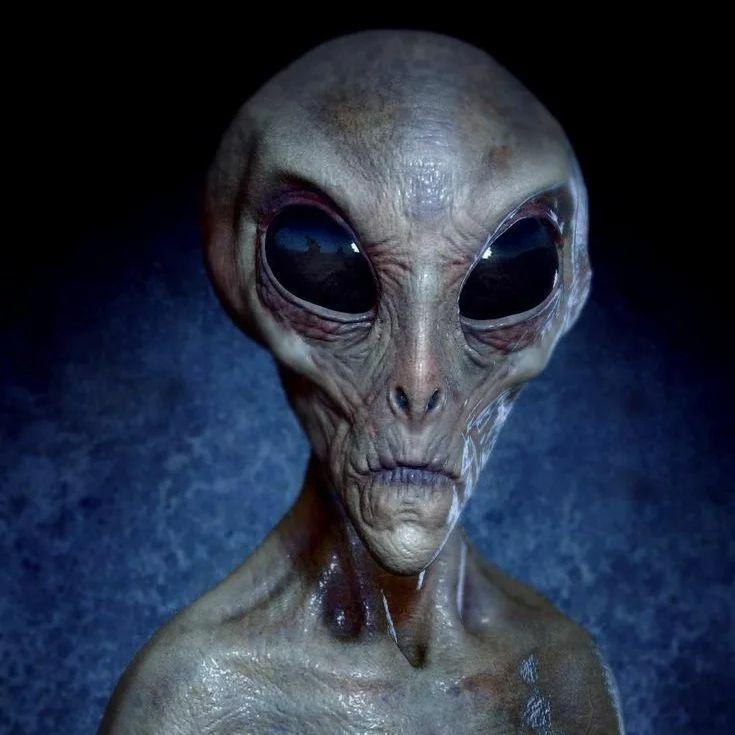 NABALDAJNIK avatar