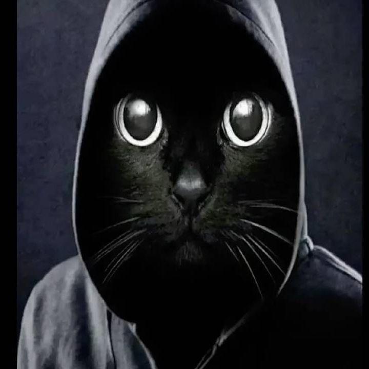 -0kak avatar