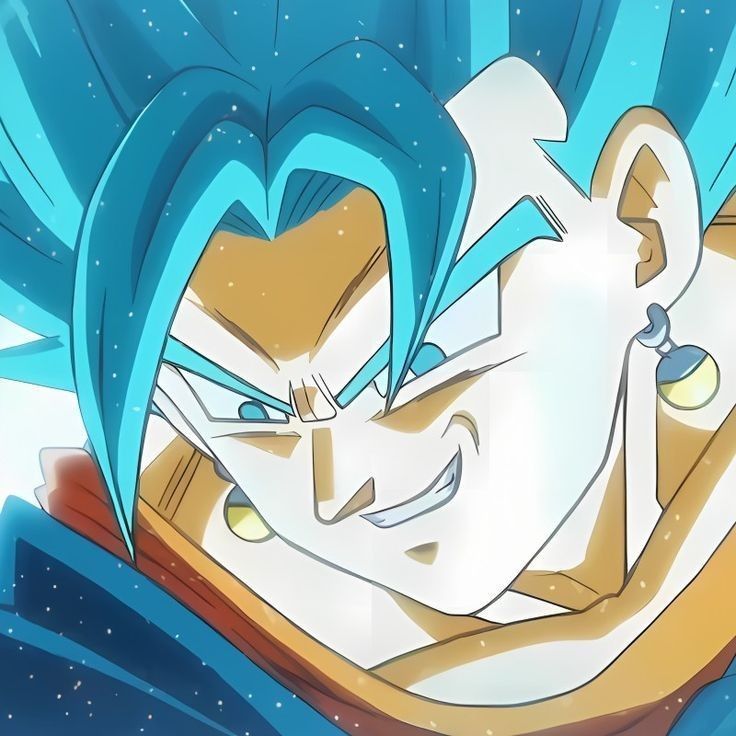 X_Vegito_X