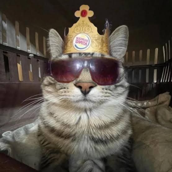 Snadder324