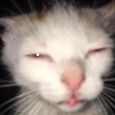 _Osk4r_ avatar