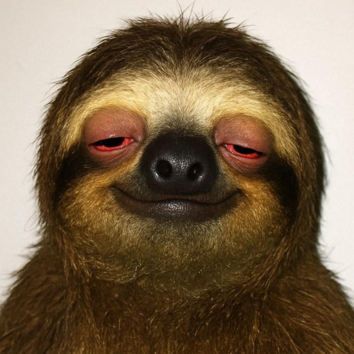 Faceit avatar