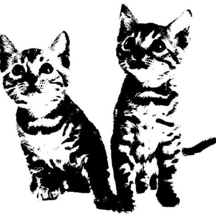 feroziy avatar