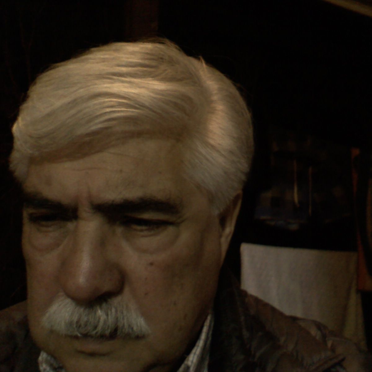 peluchi