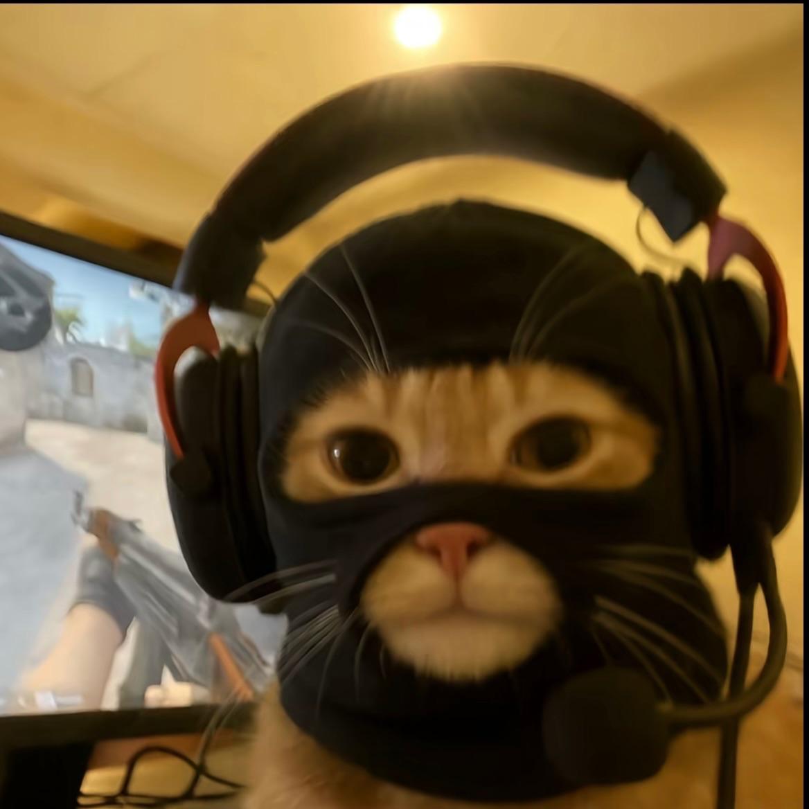 letmecoook avatar