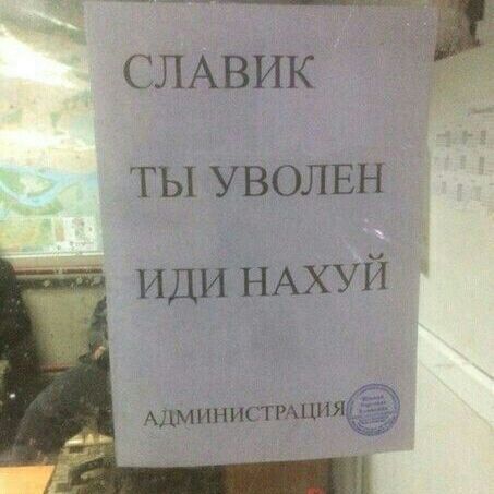SLAAAVVAC