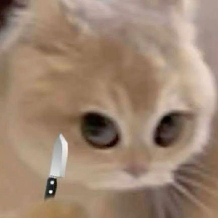 danggeR1 avatar