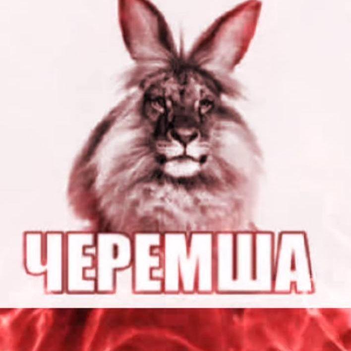 MaxSemen avatar