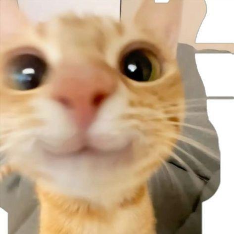 ggmang avatar