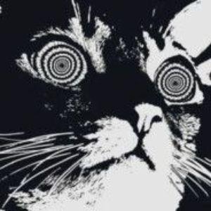 Assh_ avatar