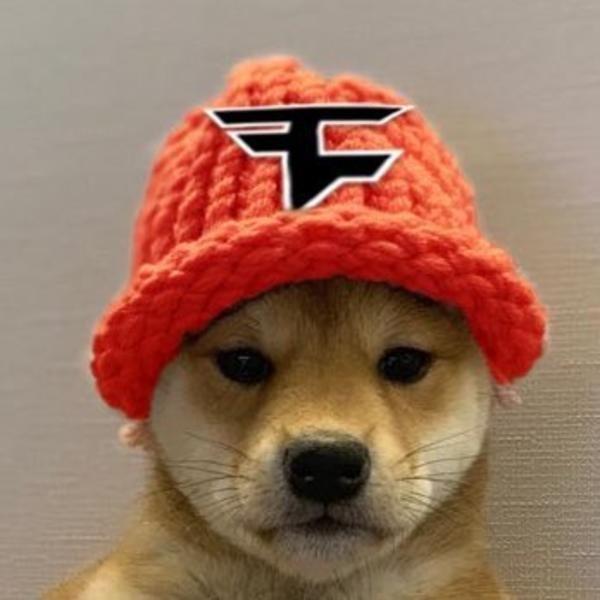 DogusMaster avatar