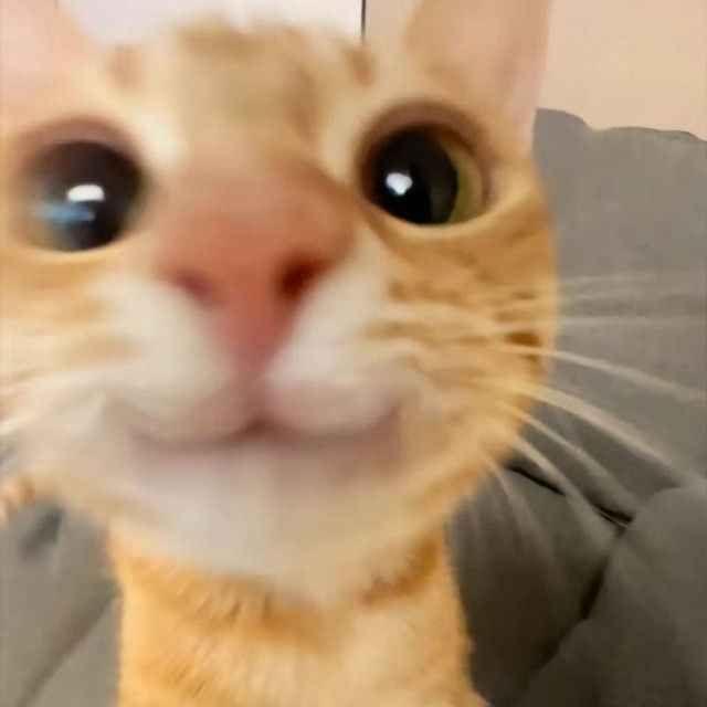 Ra1nwww avatar