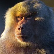 _6est9evet FACEIT avatar
