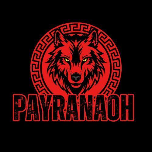 PayraNaoH avatar