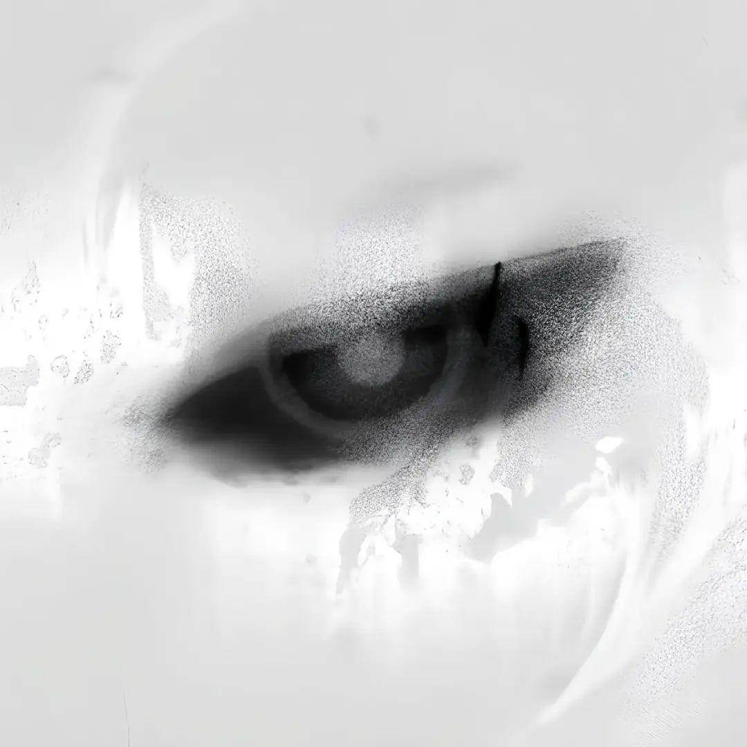 qesthet1c avatar