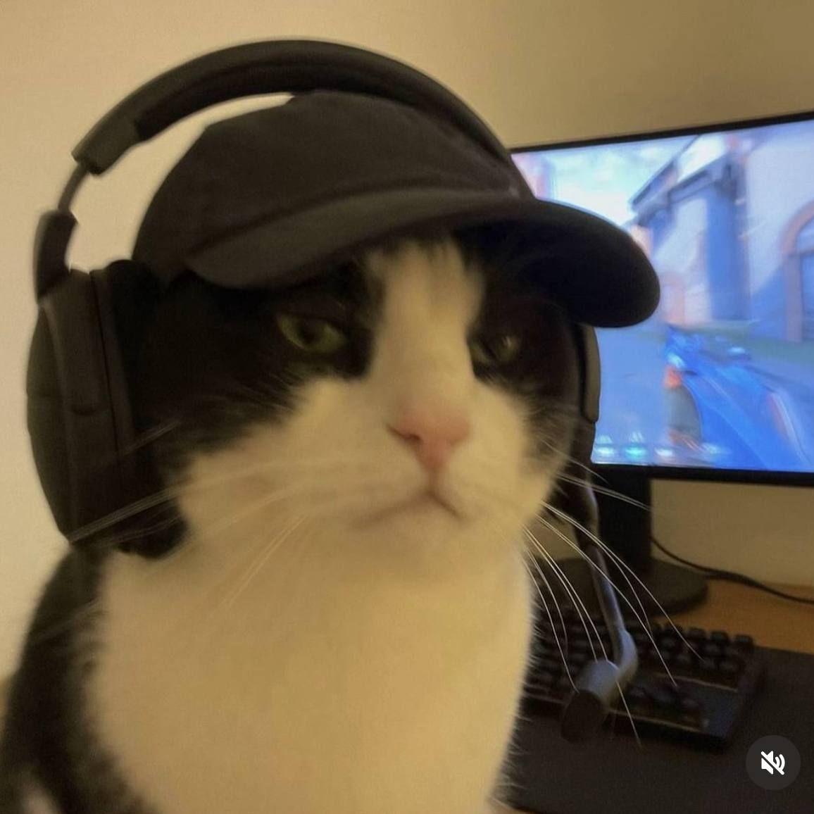 GovnoMblsh avatar