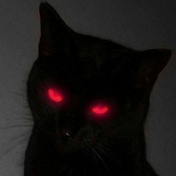 hfxtm avatar