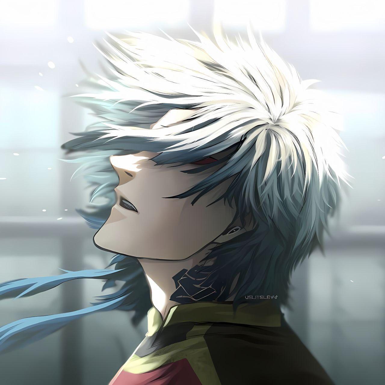 mappa666 avatar