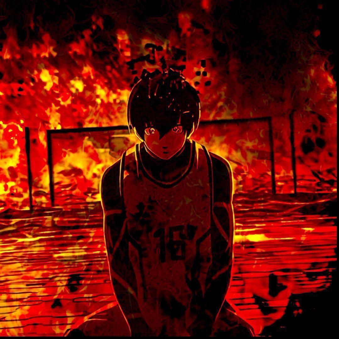 -stronzo avatar