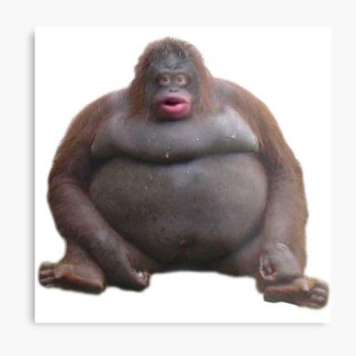 Player Phteven__ avatar