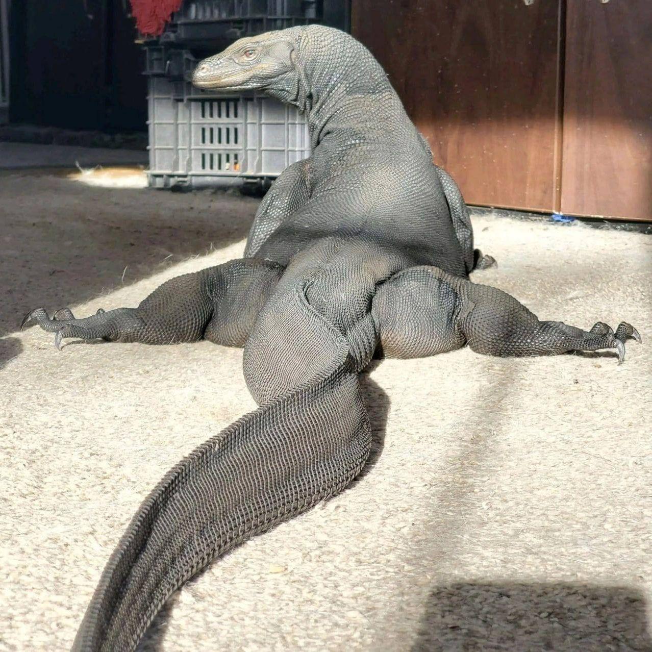 GrishaAMG