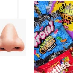 nose_candy