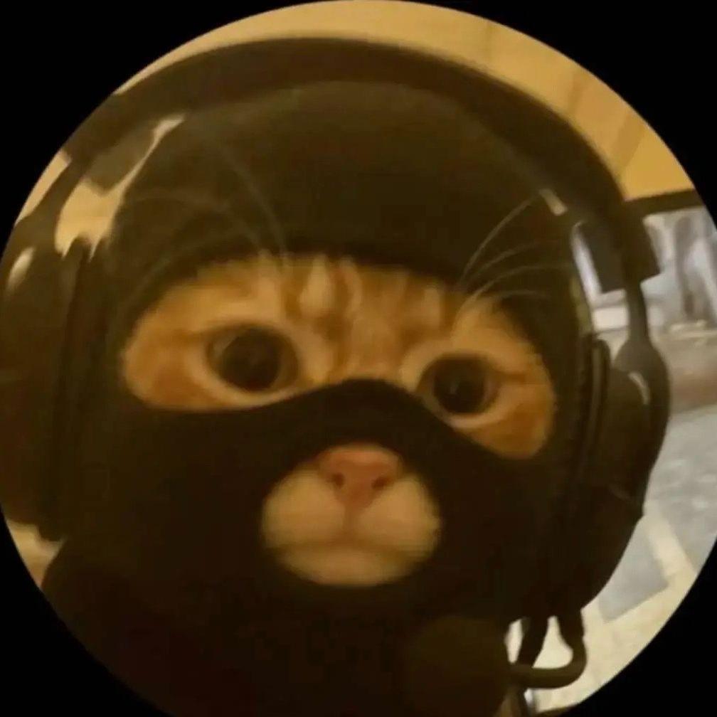 QozeOFF avatar