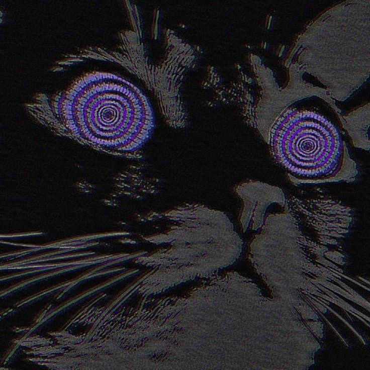 b9nx avatar