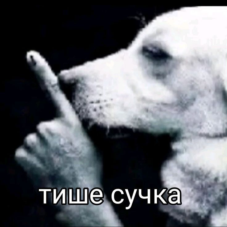 LeshkaTM