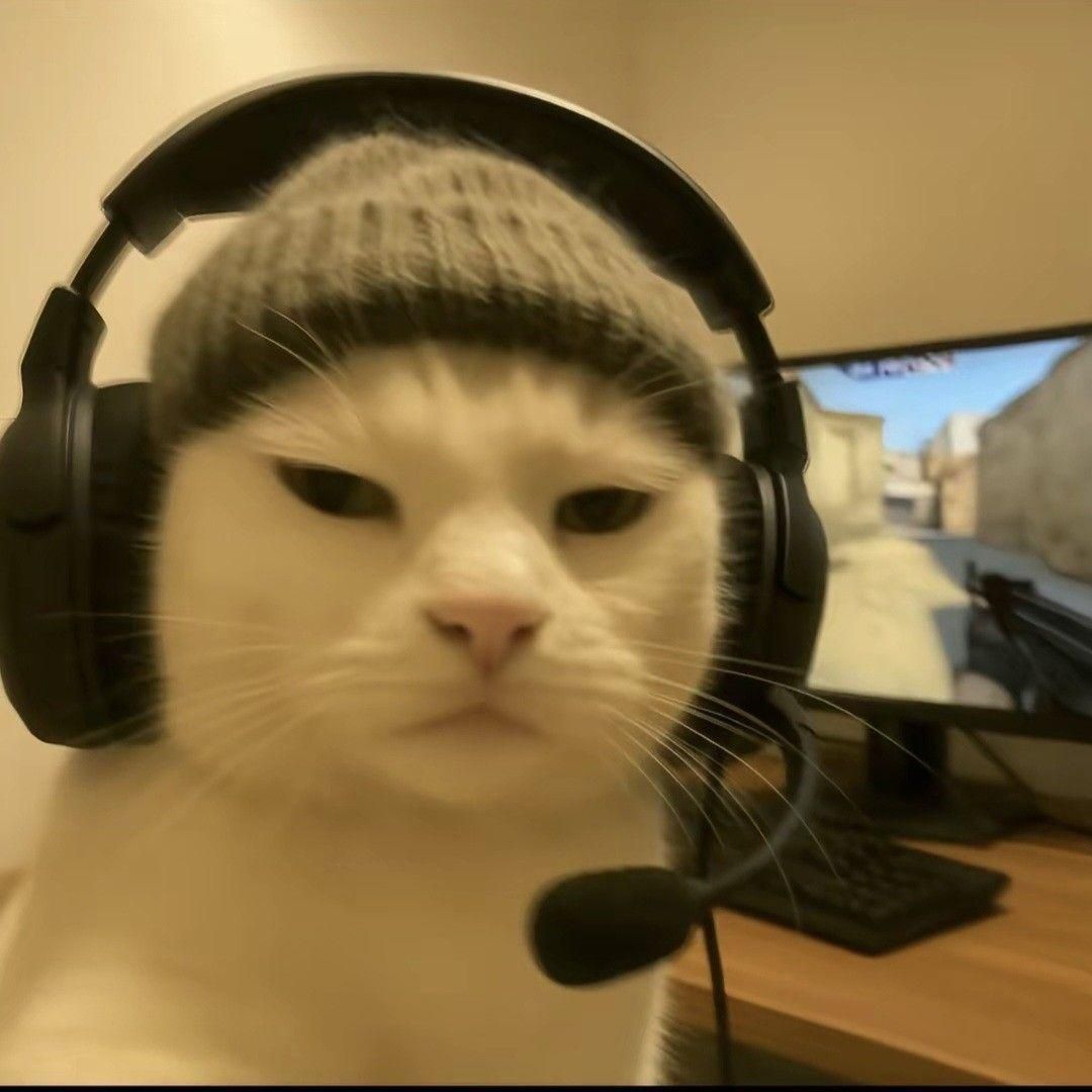 S1R_Pokki